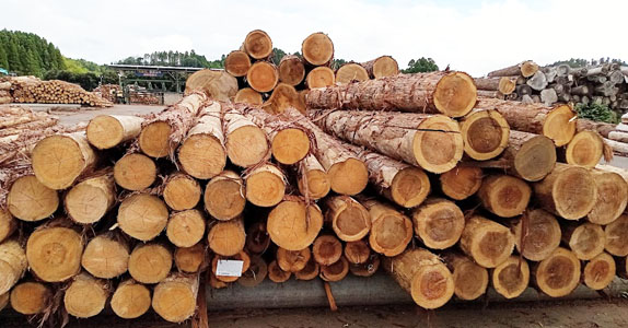 木材市場イメージ